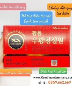 an-cung-to-ken-10-vien-chong-dot-quy-han-quoc-chinh-hang