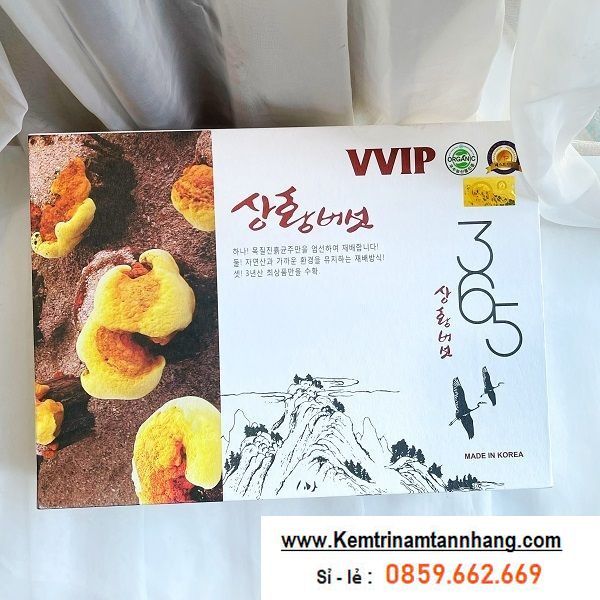 nam-linh-chi-365-han-quoc