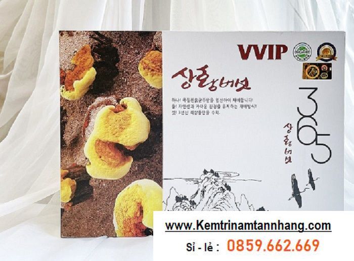 nam-linh-chi-cao-cap-365