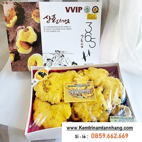nam-linh-chi-thuong-hoang-han-quoc-365